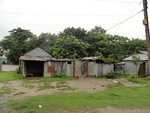 22070DSC00303.JPG