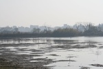 4457IMG_6873.jpg