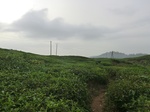 45857CIMG2942.JPG