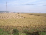 4627RIMG0058.JPG