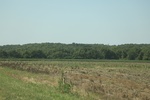 2024-06-17_21-52-45_C5B5B861-6434-4146-8D2F-ECBFAFA98C55.jpeg