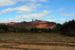 28707P1010724-1.JPG