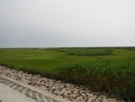 54347DSCN1621.JPG