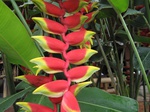 14782IMG_5175.JPG