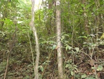 50257DSC02058.JPG