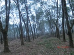 53227CIMG4978_调整大小.JPG