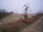 3394 046.jpg