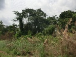 49642CIMG5979.JPG