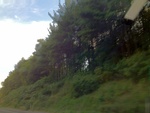 57777IMG_1064.JPG