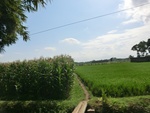 31224CIMG1086.JPG