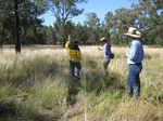 43144NSW003_L4.jpg