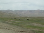 22330P1010469.JPG
