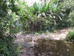 29556IMG_5199.JPG