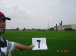 12373007b-irrigated-canal-nagarjunsagar-rice-dominant.gif