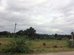 43361CIMG6416.JPG