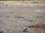 1762122042008(101).JPG