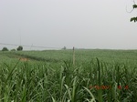 33119CIMG2354.JPG