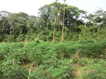 48042CIMG4379.JPG