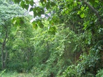 540810052008(15).JPG