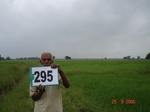 130560295c-irrigated-supplemental-major-tank-rice-doublecrop-wheat.gif