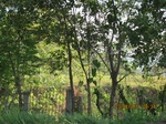 31824IMG_5425.JPG