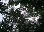 47053CIMG3390.JPG