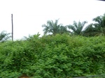 20653P1020510.JPG