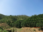 53302CIMG6573.JPG