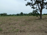 18613P1000450.JPG
