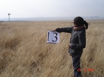 10593gt-013-wetland-seasonal-fringe-sepaage-grassland-01.jpg