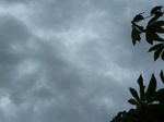 18290P1000126.JPG