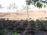 13972IMG_4268.JPG