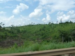25358P1020203.JPG