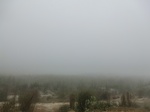 40275CIMG9018.JPG