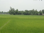 21706DSC00246.JPG