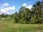 30392CIMG1960.JPG