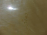 58472CIMG2922.JPG