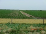 2012-08-30_11-29-29_CIMG1146.JPG