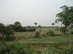21905DSC08502.JPG