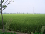 4502007-08-05_08-48-34_tag.jpg