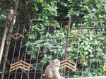 15798IMG_4887.JPG