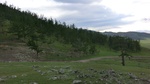 33789CIMG2467.JPG