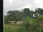 49871CIMG6208.JPG