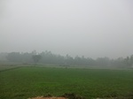 40100CIMG9166.JPG