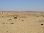 36719CIMG0488.JPG