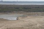 4460IMG_6974.jpg