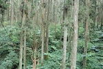 2024-11-21_16-04-21_A8A1A36A-86E0-4C2C-8EC7-3E7542251066.jpeg