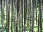 17513100_2770.JPG