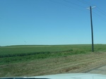 28955P1060035.JPG
