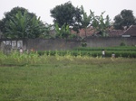 13567IMG_3818.JPG